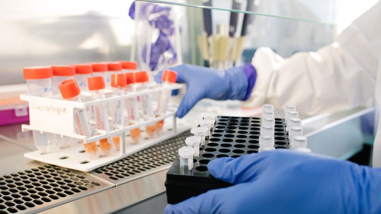 Services for Doctors and Medical Staff