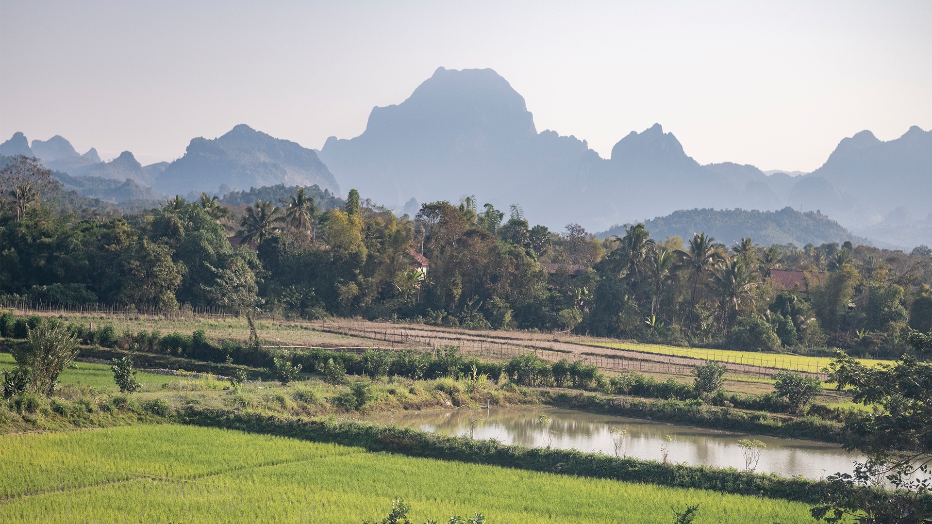 Landscape in Laos (Photo: O. Brandenberg/Swiss TPH)